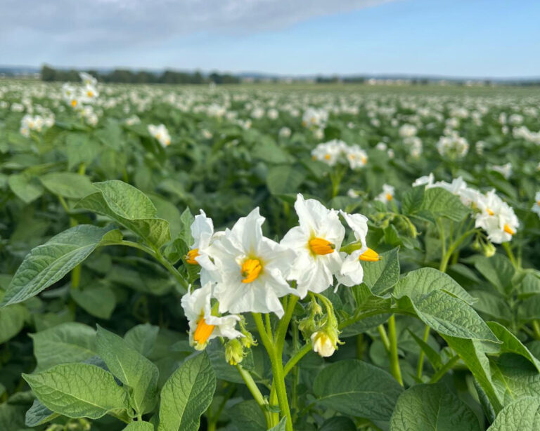 whatsapp image 2026 04 12 at 20.13.35 (2)