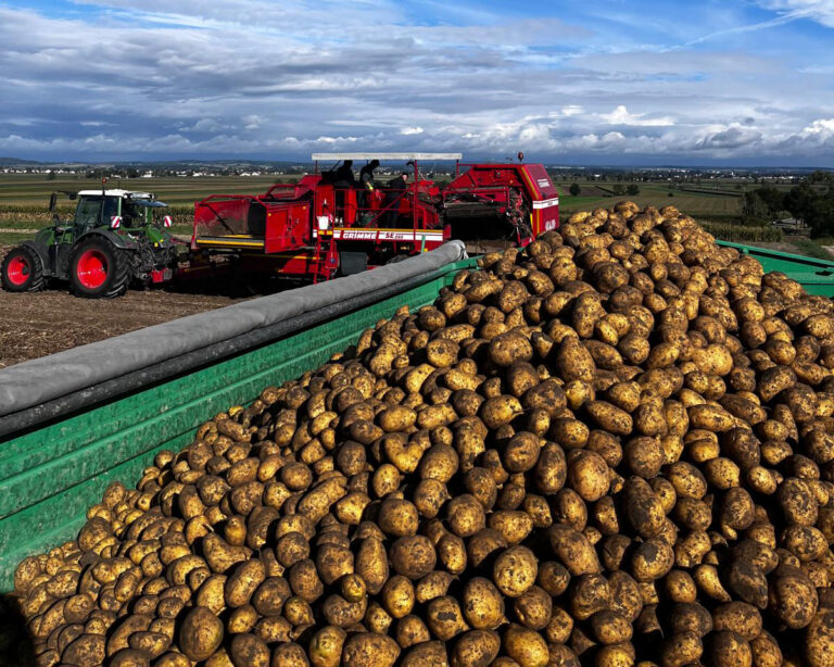 whatsapp image 2026 04 12 at 20.18.05