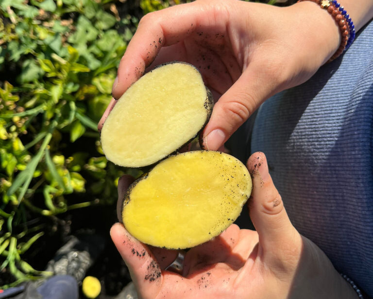 whatsapp image 2026 04 12 at 21.40.34 (2)