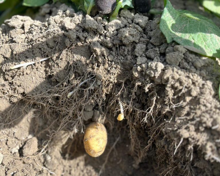 whatsapp image 2026 04 12 at 21.47.01 (2)