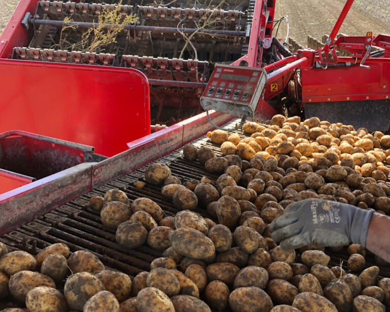 whatsapp image 2026 04 12 at 21.47.01