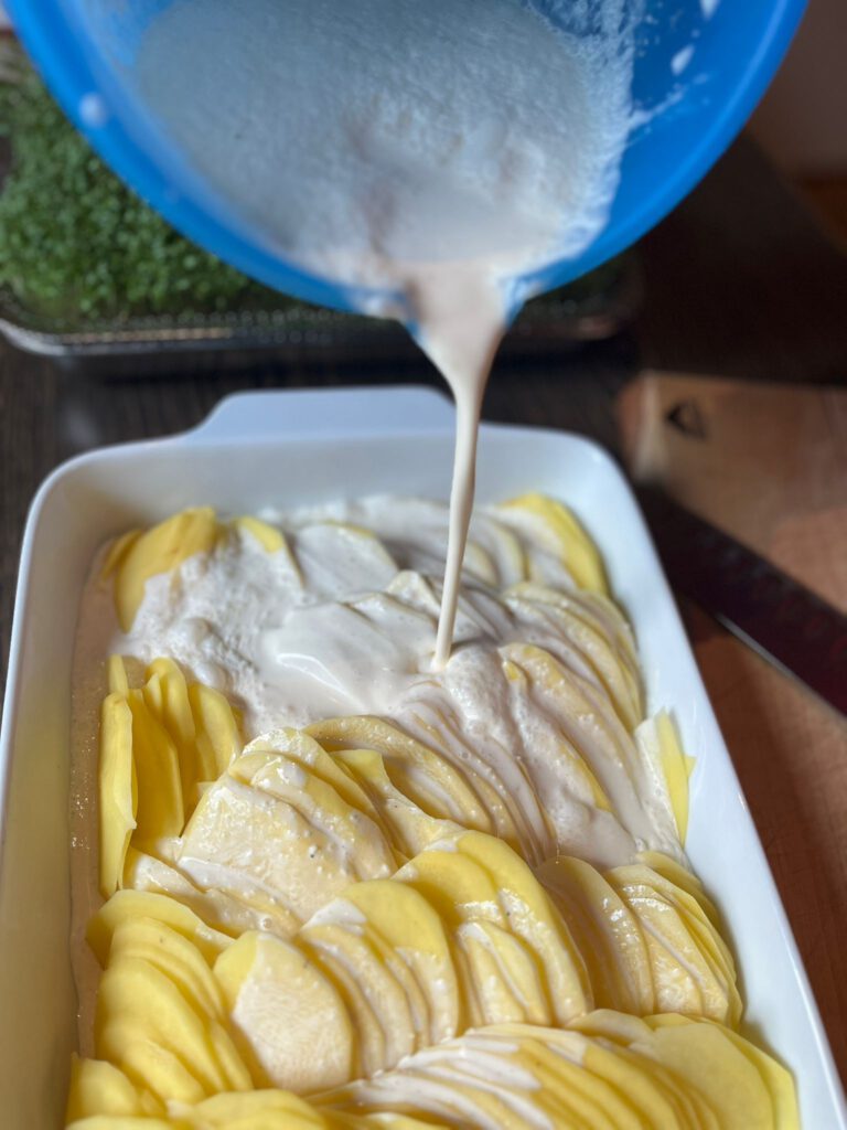 Cremiges Kartoffelgratin gartin 4