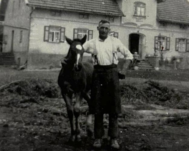 hofgeschichte 1